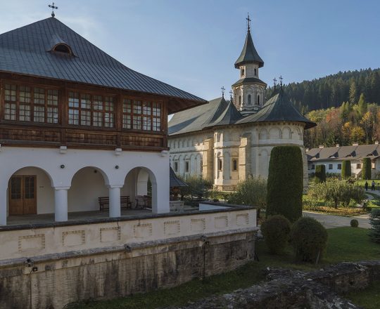 Mănăstirea Putna  2019